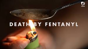 Report on Fentanyl and Fentanyl Analogs